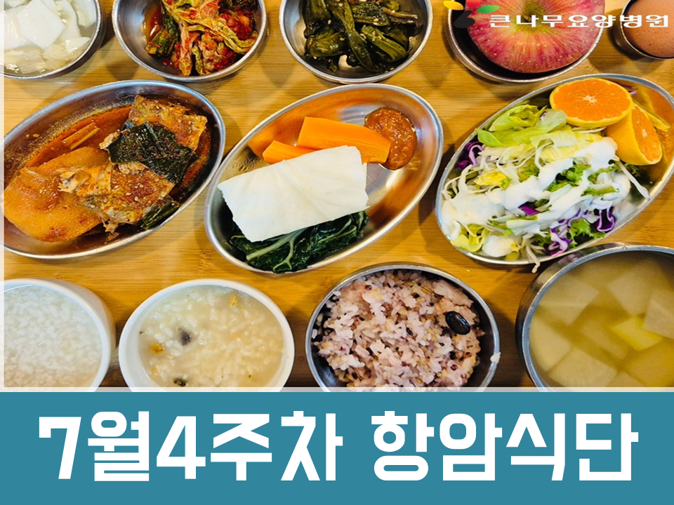 2025년 7월4주차 항암식단