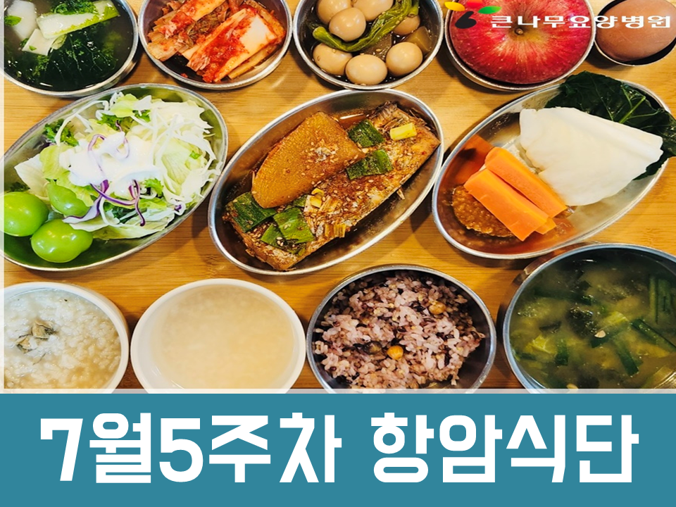 2025년 7월5주차 항암식단