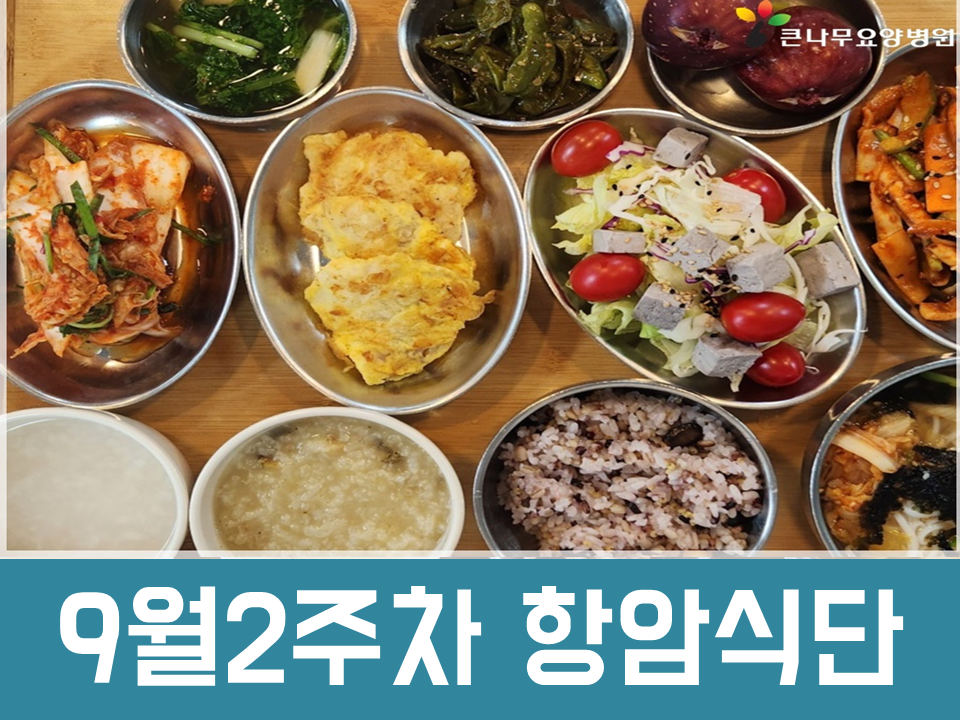 2025년 9월 2주차 항암식단