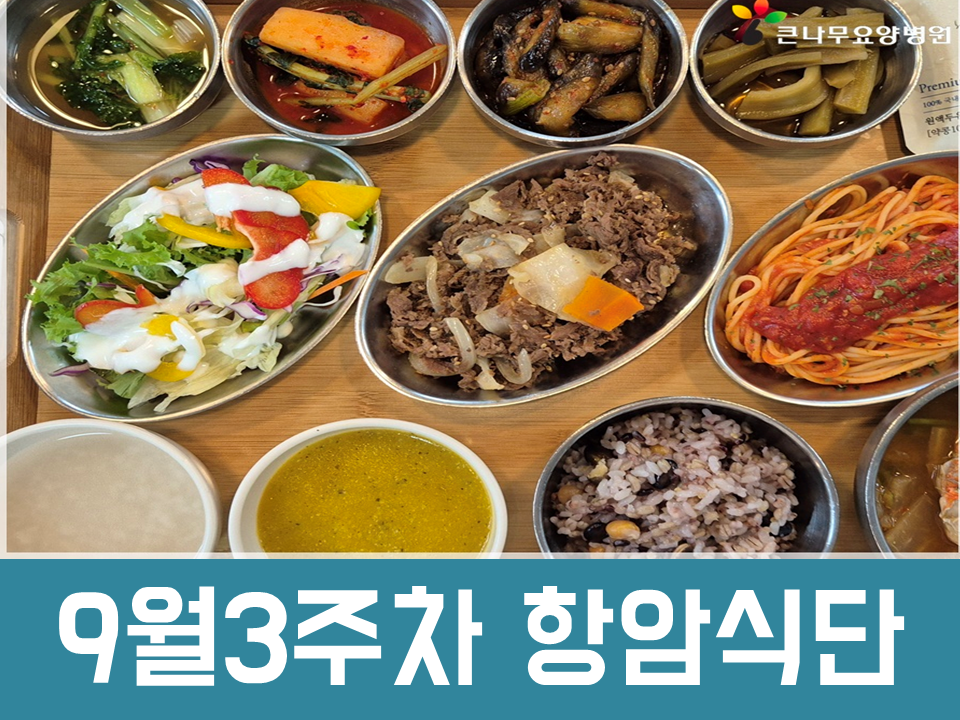 2025년 9월 3주차 항암식단