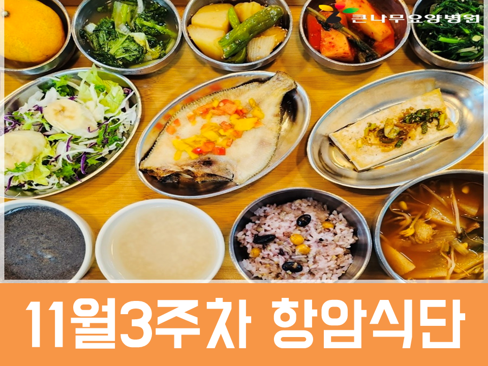 2025년 11월 3주차 항암식단