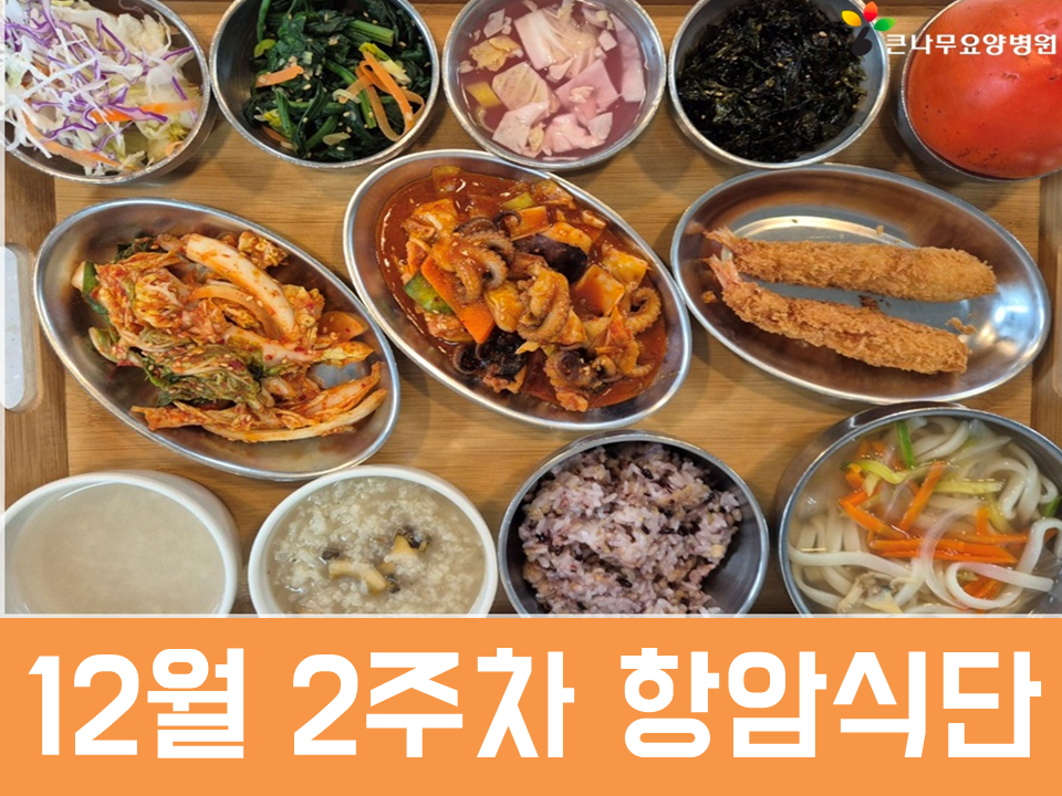 2025년 12월 2주차 항암식단