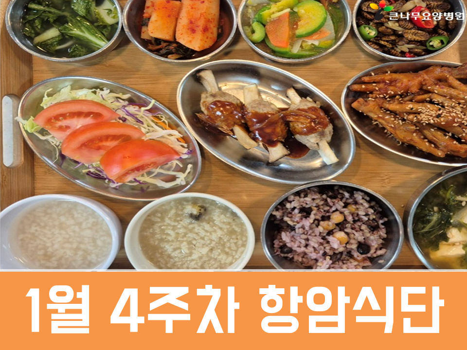 2026년 1월 4주차 항암식단