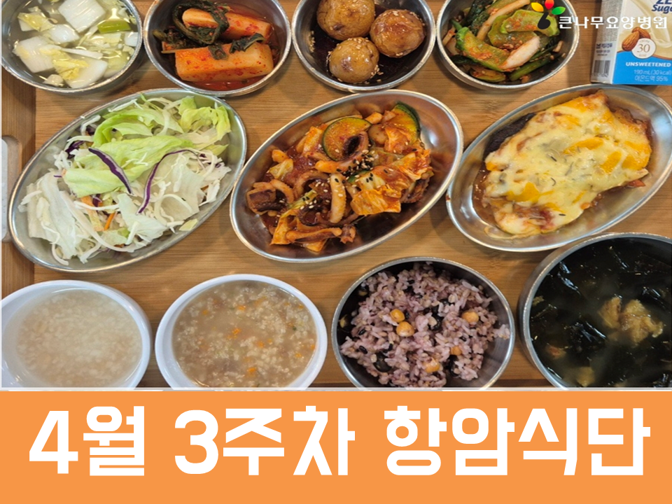 2026년 4월 3주차 항암식단