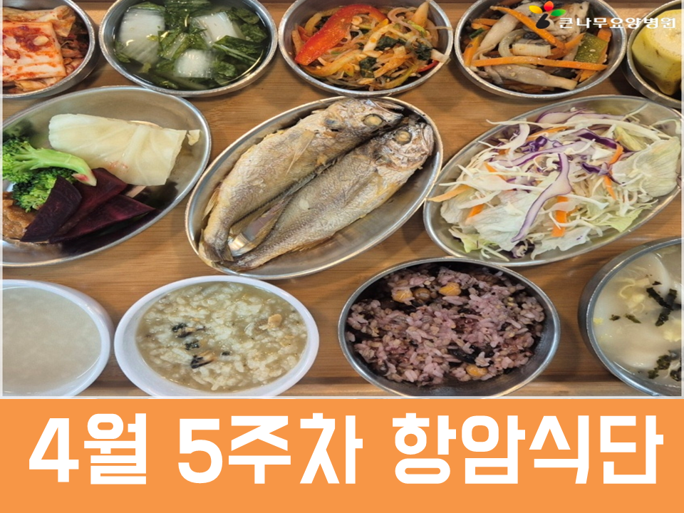 2026년 4월 5주차 항암식단