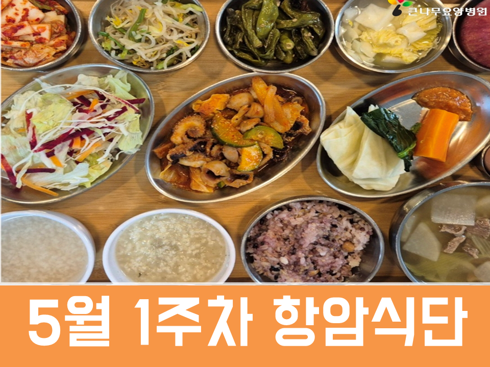 2026년 5월 1주차 항암식단