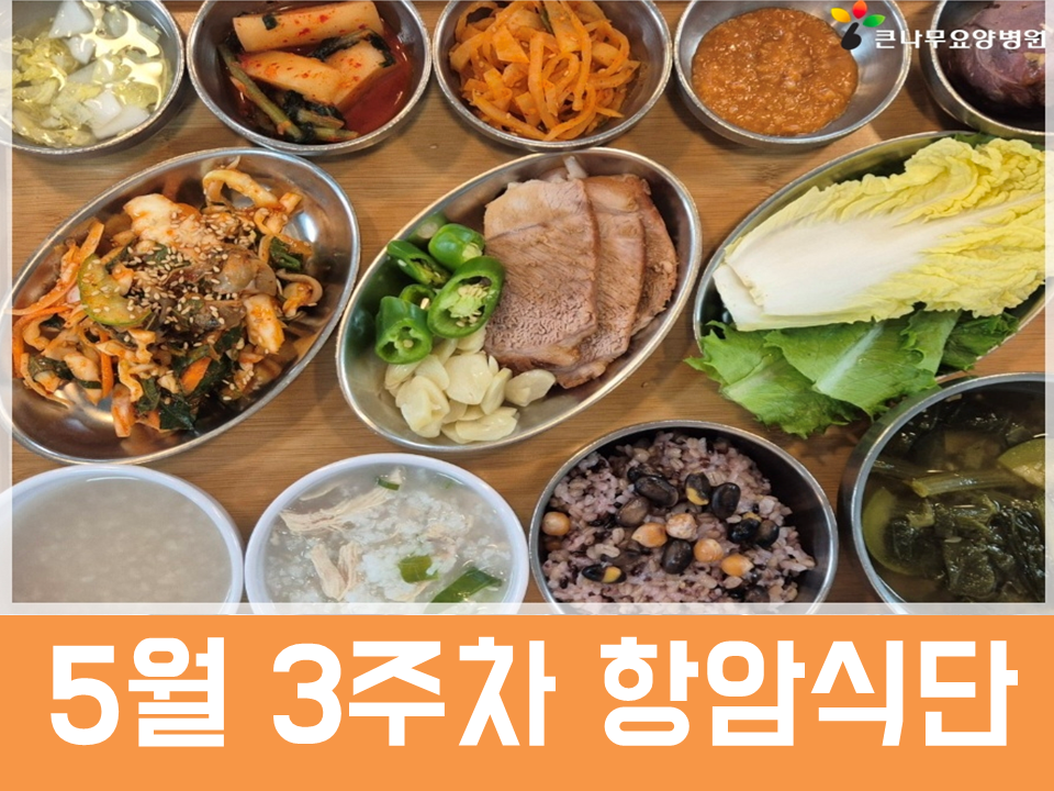2026년 5월 3주차 항암식단