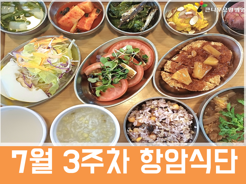 2026년 7월 3주차 항암식단