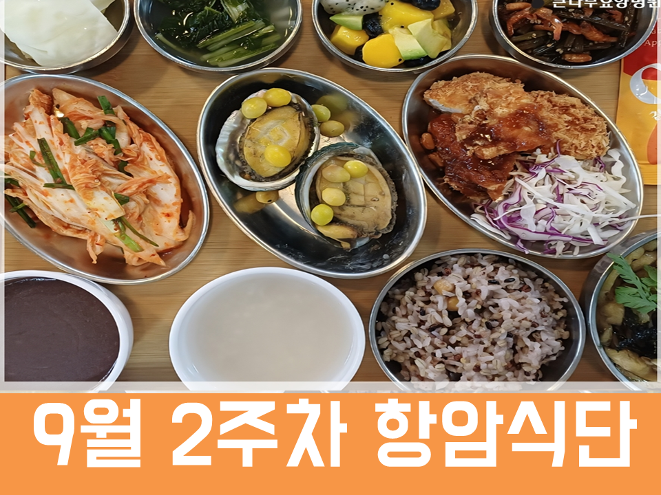 2026년 9월 2주차 항암식단