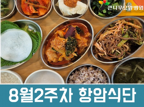 2025년 8월 2주차 항암식단