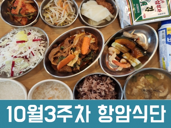 2025년 10월 3주차 항암식단