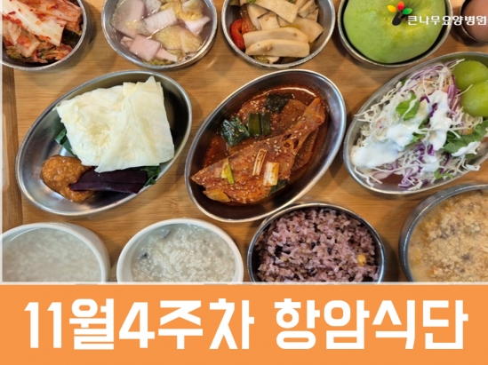 2025년 11월 4주차 항암식단