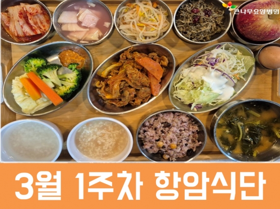 2026년 3월 1주차 항암식단