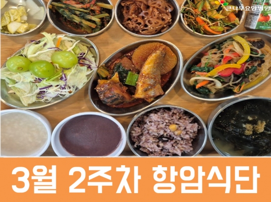 2026년 3월 2주차 항암식단