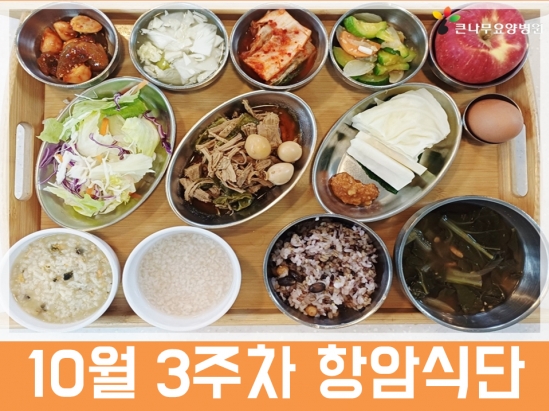2026년 10월 3주차 항암식단